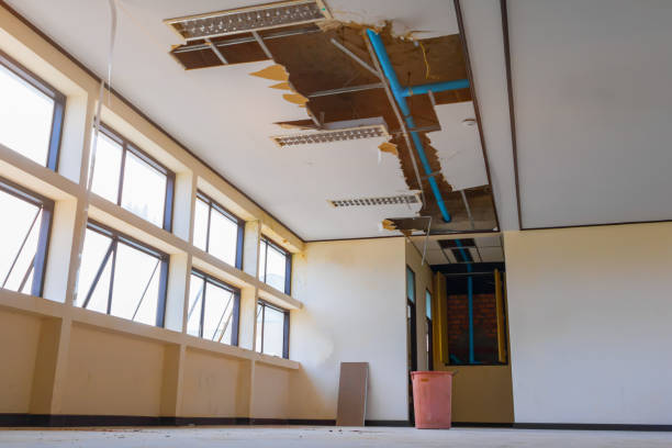 Best 24-hour water damage restoration  in Bellemont, AZ