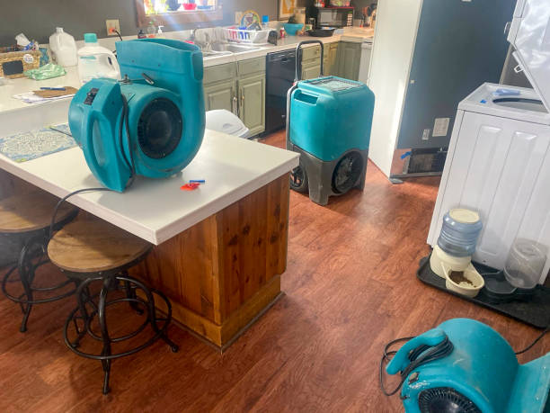 Best Water damage contractors near me  in Bellemont, AZ