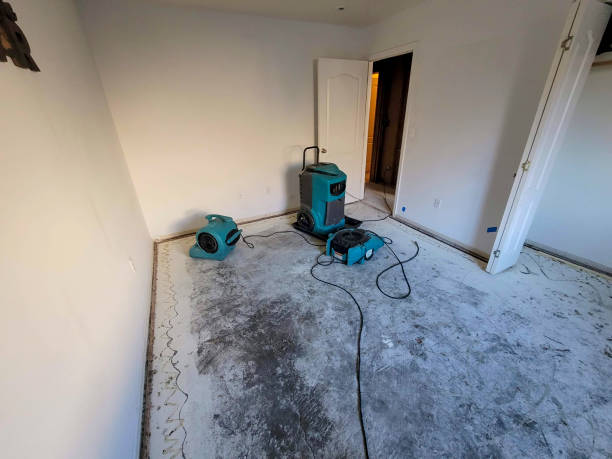 Best Water damage restoration near me  in Bellemont, AZ