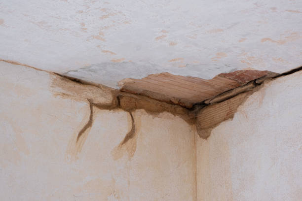 Best Sewage cleanup and water damage restoration  in Bellemont, AZ