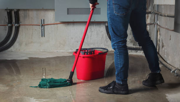 Best Water damage restoration near me  in Bellemont, AZ