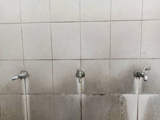  Bellemont, AZ Water damage restoration Pros