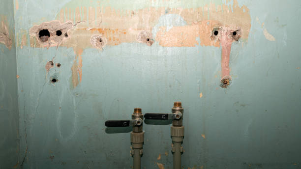 Best Ceiling water damage repair  in Bellemont, AZ