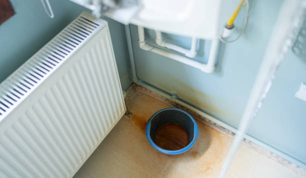 Best Mold removal after water damage  in Bellemont, AZ