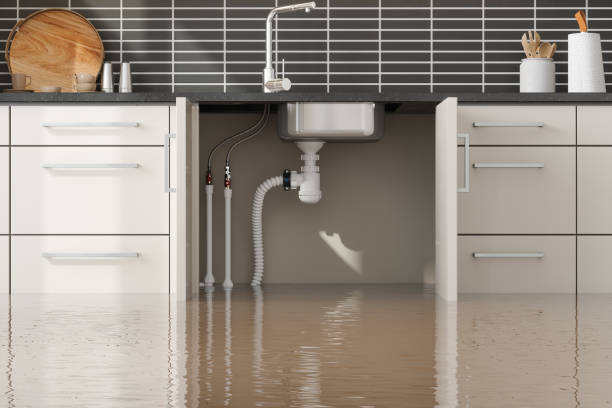 Best Water damage restoration specialists  in Bellemont, AZ