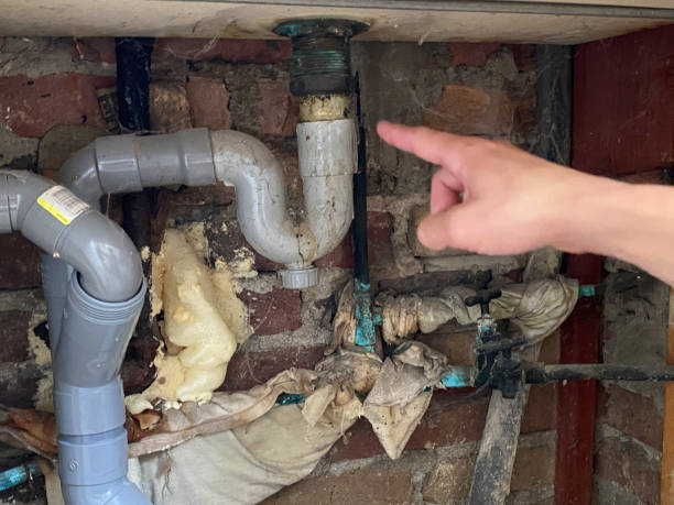 Best Professional water damage repair  in Bellemont, AZ