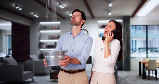 Best Ceiling water damage repair  in Bellemont, AZ